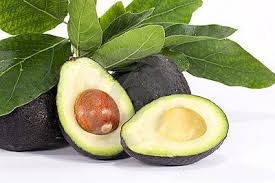 Avocado - Colombian Food Supplier